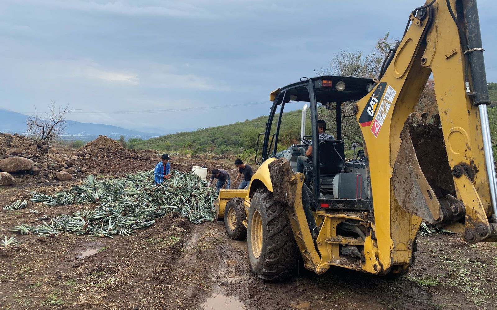 Retroexcavadora Denali en proyecto agrícola de agave